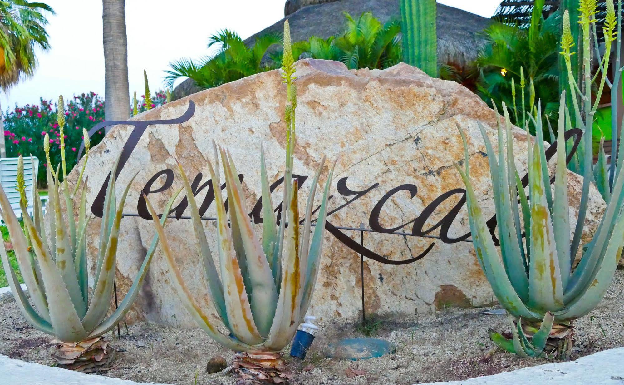 El Ameyal Hotel And Family Suites Cabo San Lucas Ngoại thất bức ảnh